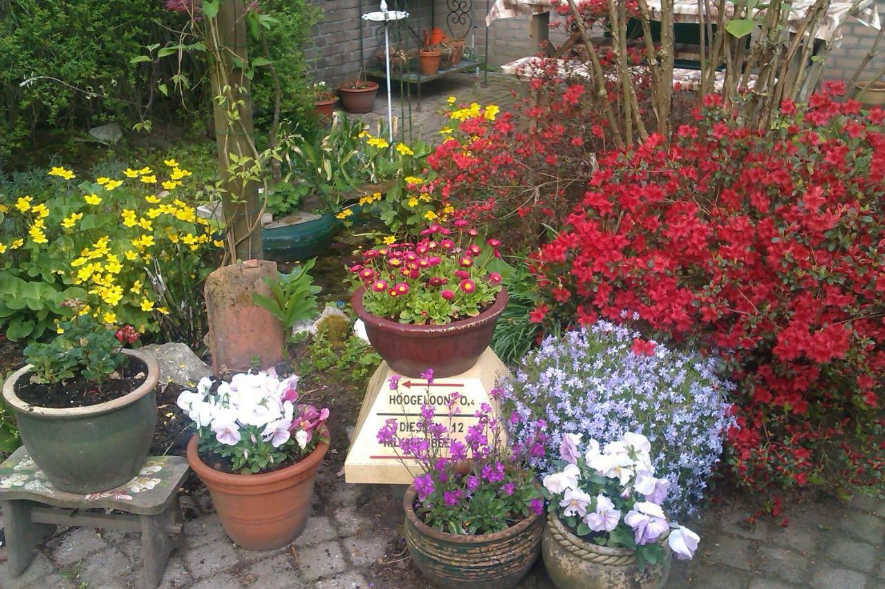 埃因霍温公园住宿加早餐旅馆 外观 照片
